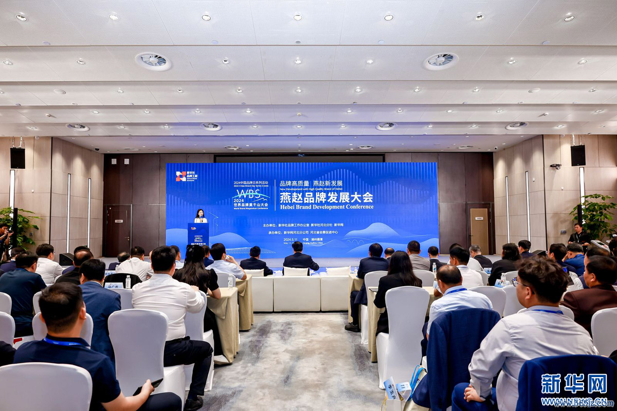大会现场。新华网发